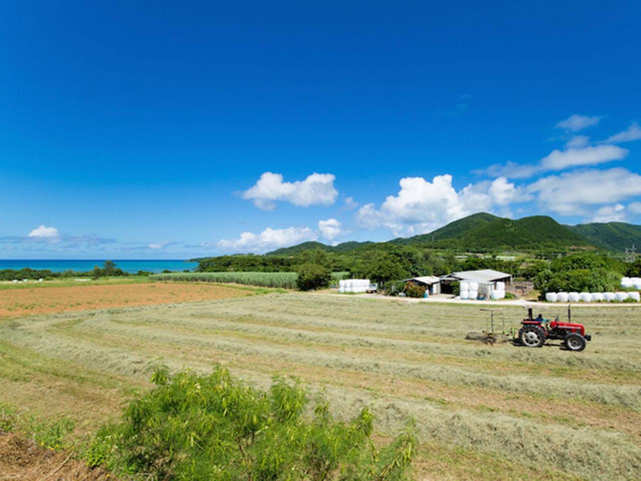 Sun Green Resort Hotel Ishigaki Ishigaki  Экстерьер фото